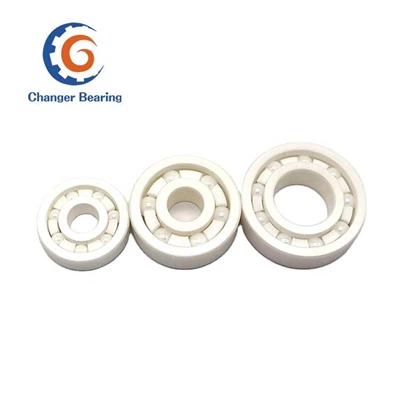 Ceramic Bearing Custom